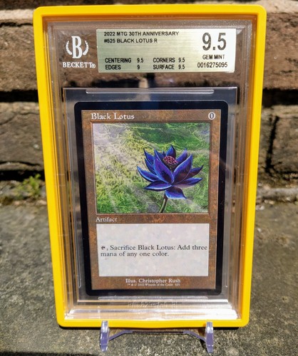 Bgs retro frame - 9.5,